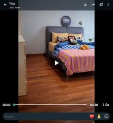 Cassia View (D14), Apartment #633073701